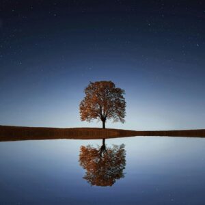 Serene night landscape with a solitary tree reflecting in calm waters beneath a starry sky.