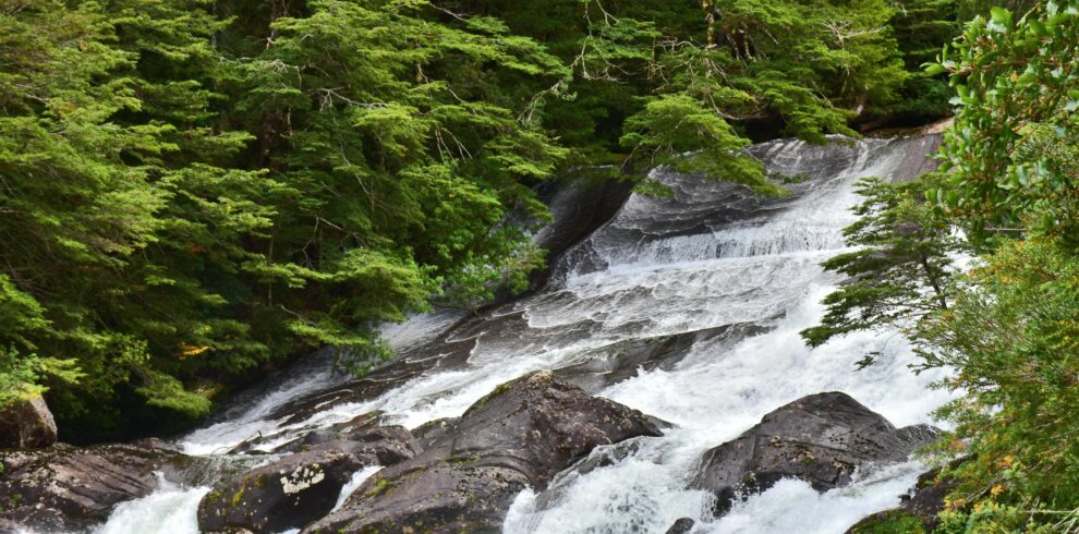 A serene waterfall cascades through vibrant green forest foliage, creating a tranquil natural scene.