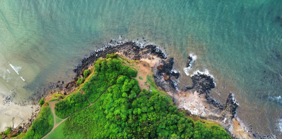 A stunning aerial view of a rocky coastline and vibrant green landscape.