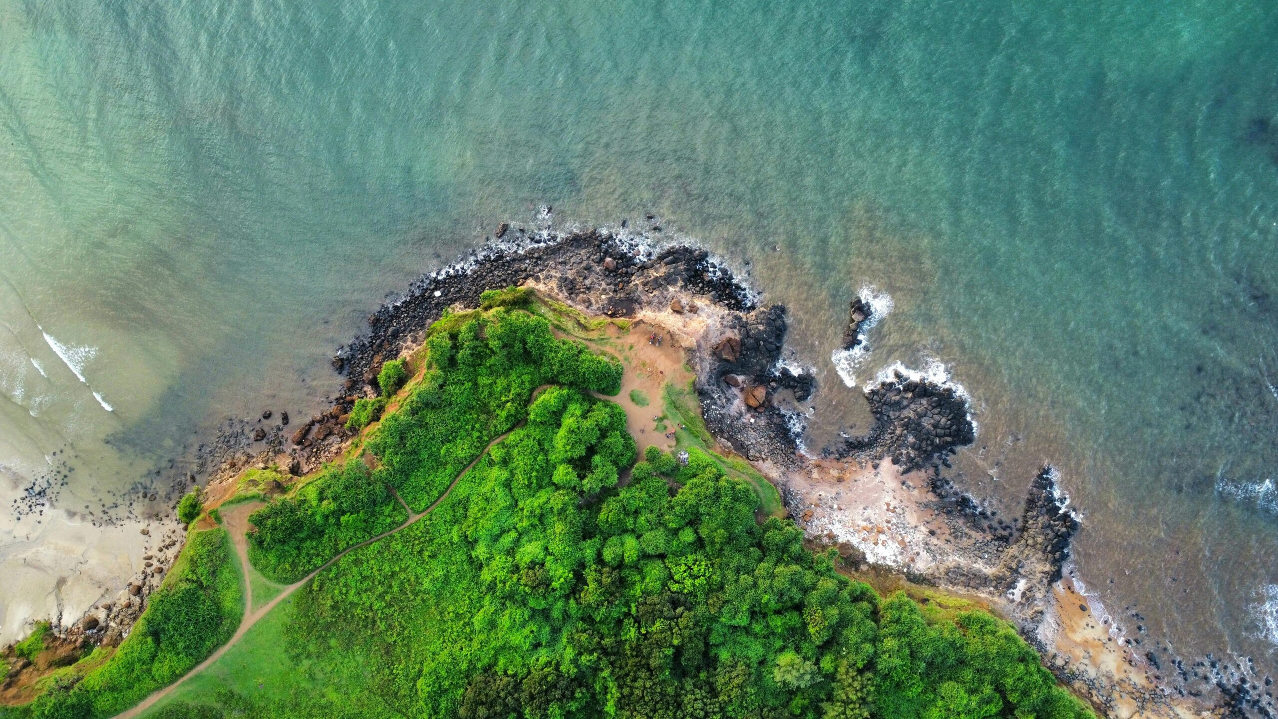 A stunning aerial view of a rocky coastline and vibrant green landscape.
